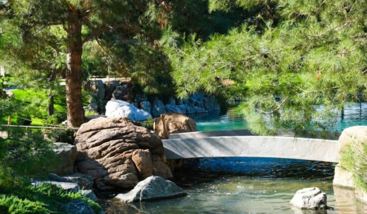 Celebrate The 20th Anniversary Of The Japanese Friendship Garden This Week