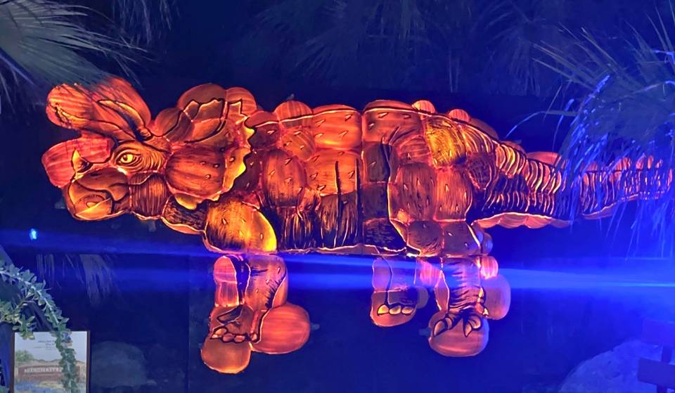 See 5,000+ Pumpkin Sculptures At ‘Glowing Pumpkins,’ Now Open In Phoenix