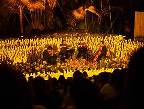 This Intimate Candlelight Concert Series Is Returning To Wakefield Barn With A Sea Of Flowers
