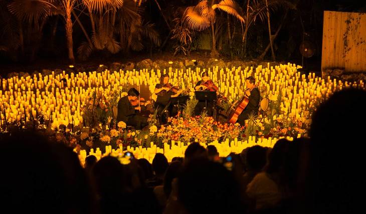 This Intimate Candlelight Concert Series Is Returning To Wakefield Barn With A Sea Of Flowers