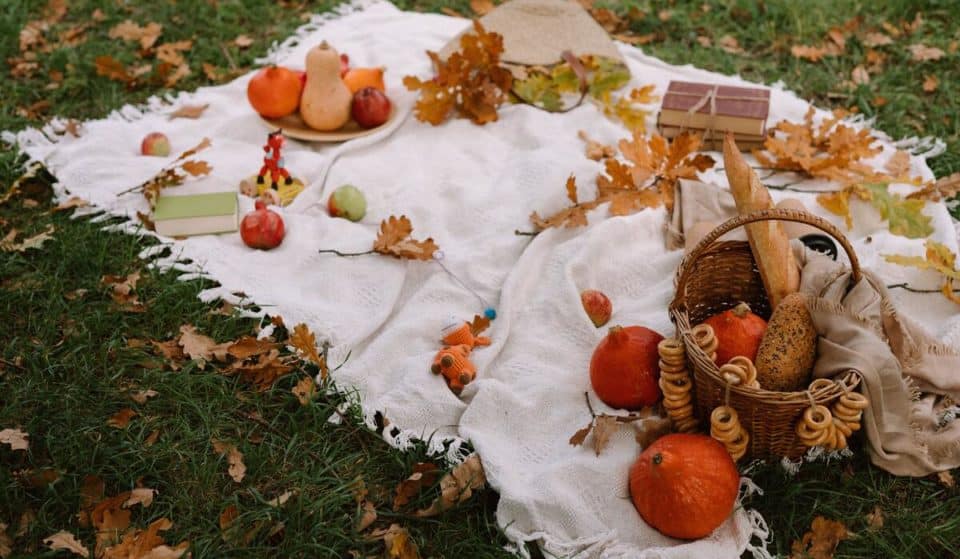 Fall Foliage in Rome: 10 Places to Take Stunning Photos in the Fall