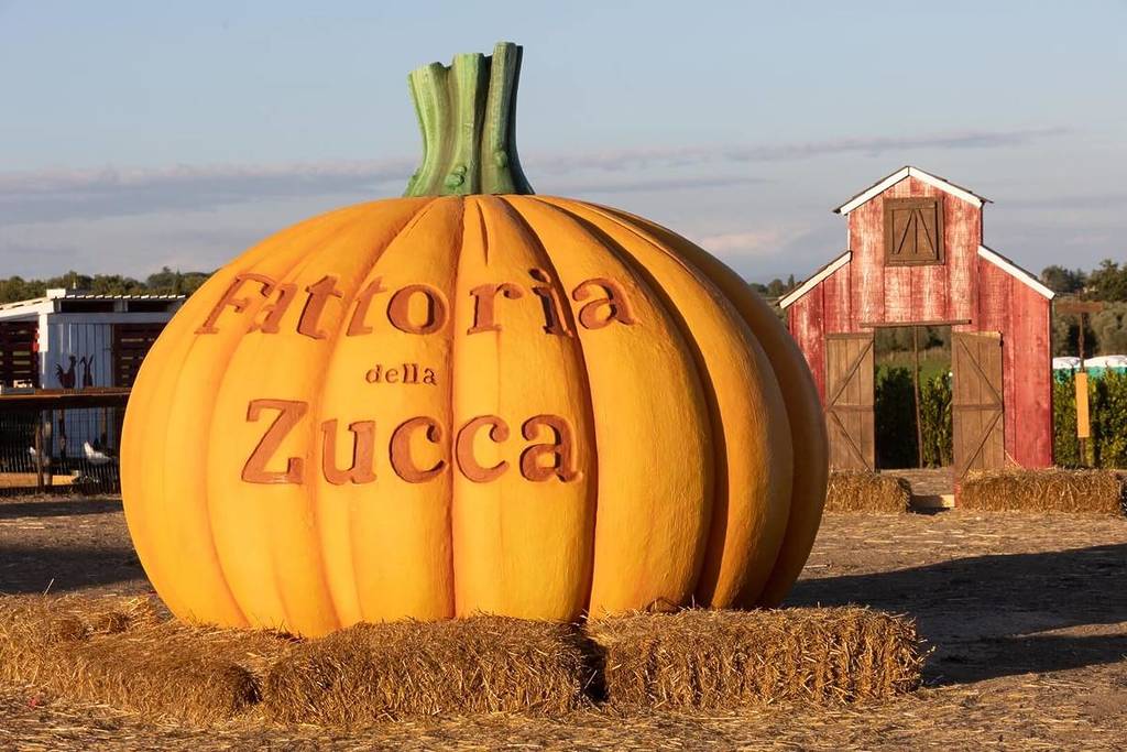 Kürbisfarm in der Nähe von Rom