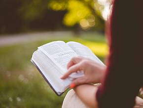 Roma si trasforma: le biblioteche diventano oasi verdi per studiare e leggere all&#8217;aperto!