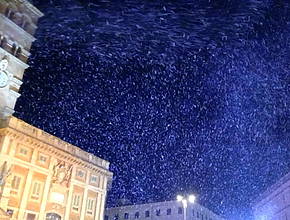 En Roma la «nieve» en agosto: hoy el «milagro» blanquea Santa Maria Maggiore