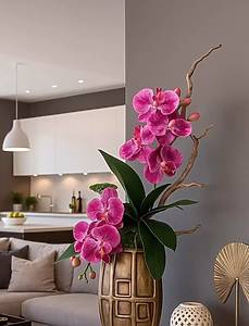 Orchidea