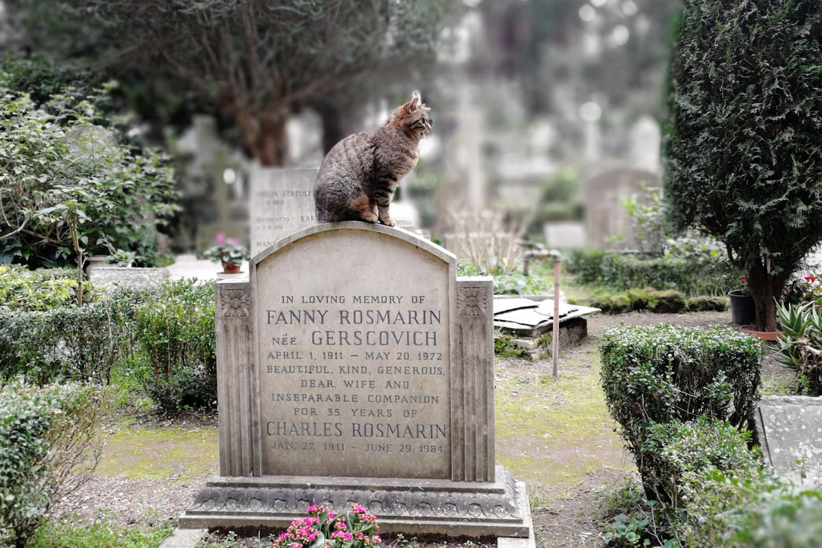 S925 - Orecchini a perno in argento con forma di gatto, per le