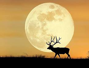 Amanhã de olhos postos no céu para a Lua dos Veados (a 1ª Lua Cheia de julho)