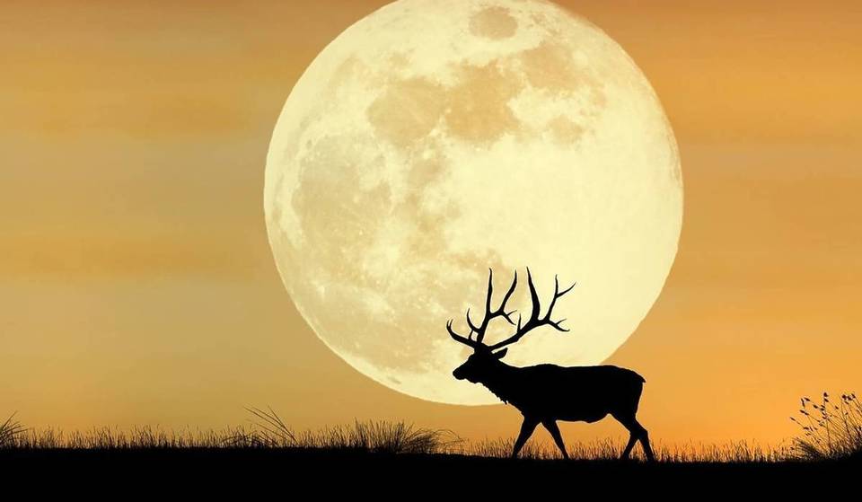 Domani occhi al cielo per la Luna del Cervo (la 1º Luna piena di luglio)