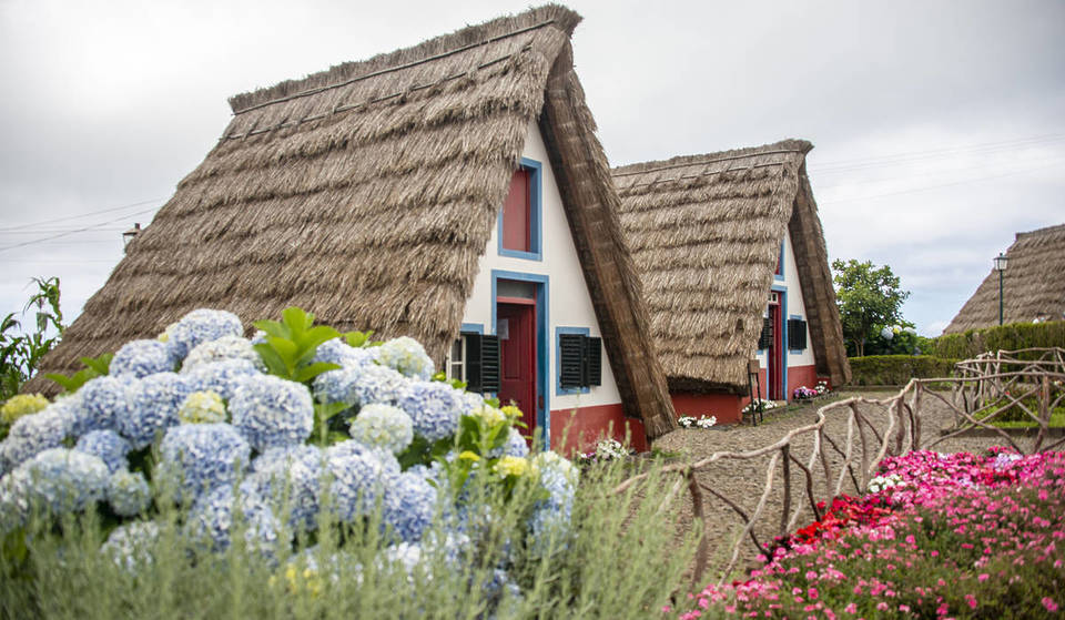 Viene chiamata “l’isola dell’eterna primavera”: la tua vacanza ideale per questo inverno a poca distanza da Roma