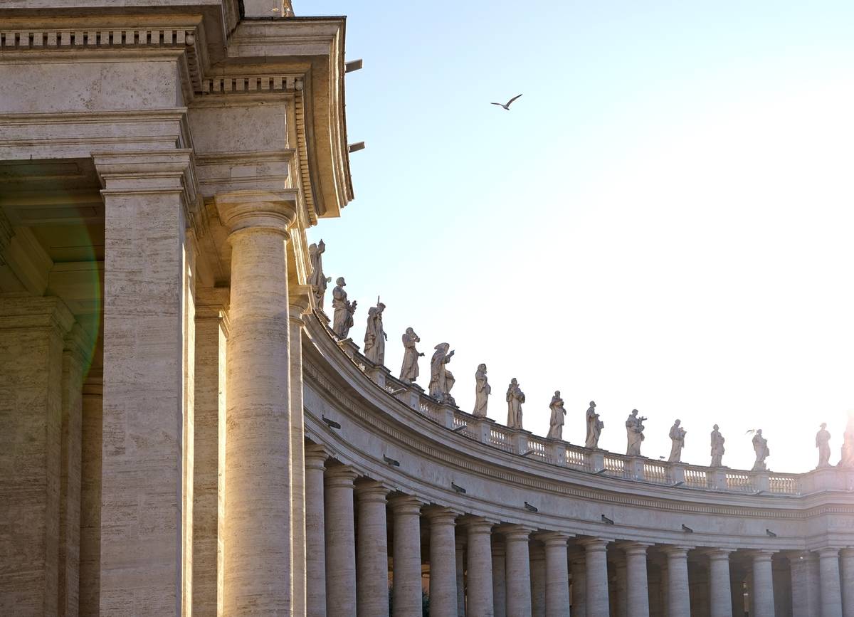 Vista del colonnato di Piazza San Pietro con le statue illuminate dal sole e un gabbiano in volo