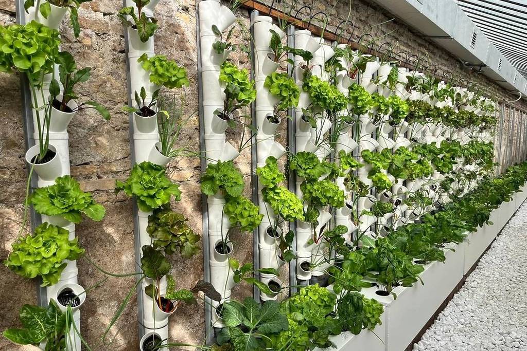 Serres Casale dei Cedrati