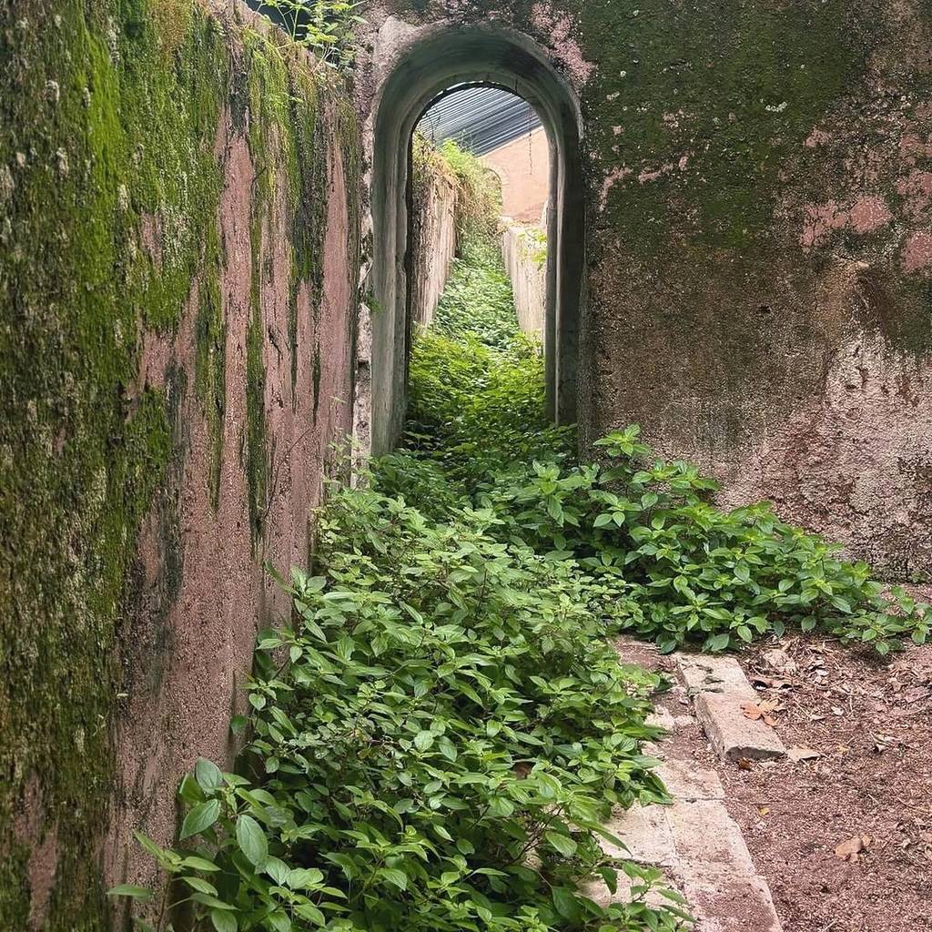 Serre Villa Doria Pamphilj prima della riqualificazione