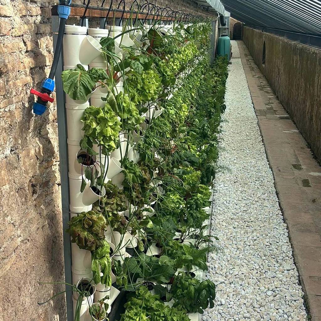 Agricoltura idroponica