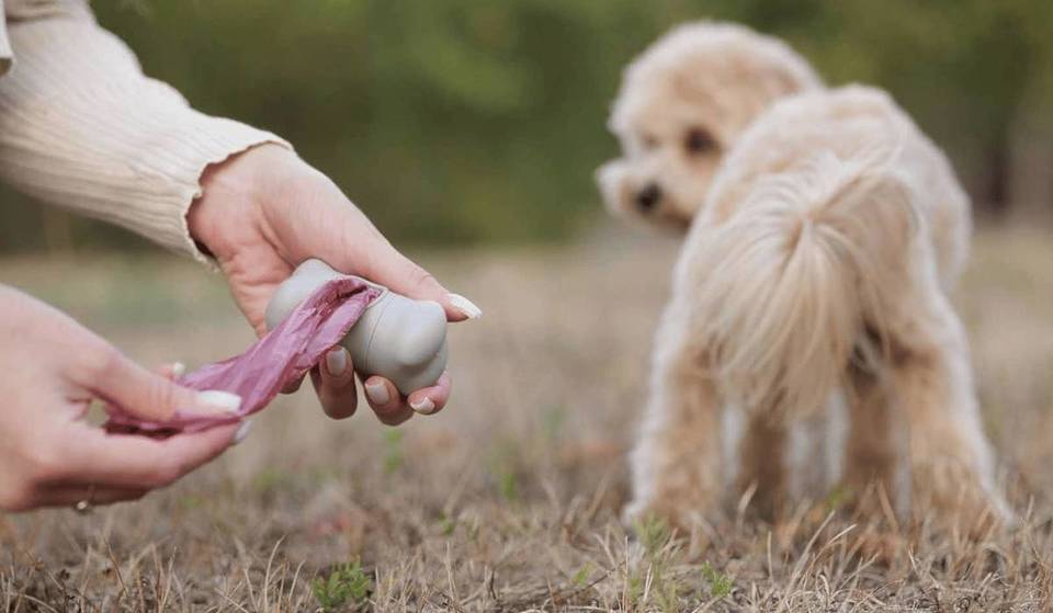 Las calles de Roma invadidas por los excrementos: ¿la solución contra la incivilidad del «CSI canino» español? Adiós a las excusas para quienes no recogen los excrementos de su perro.