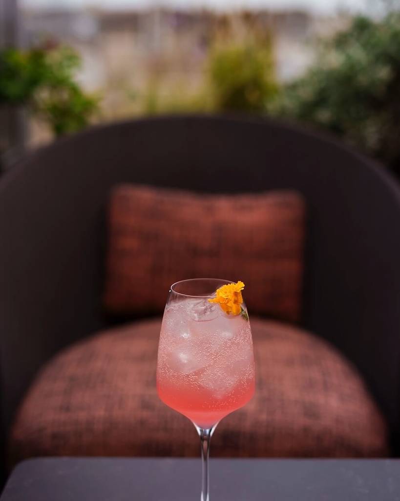 Cocktail rose