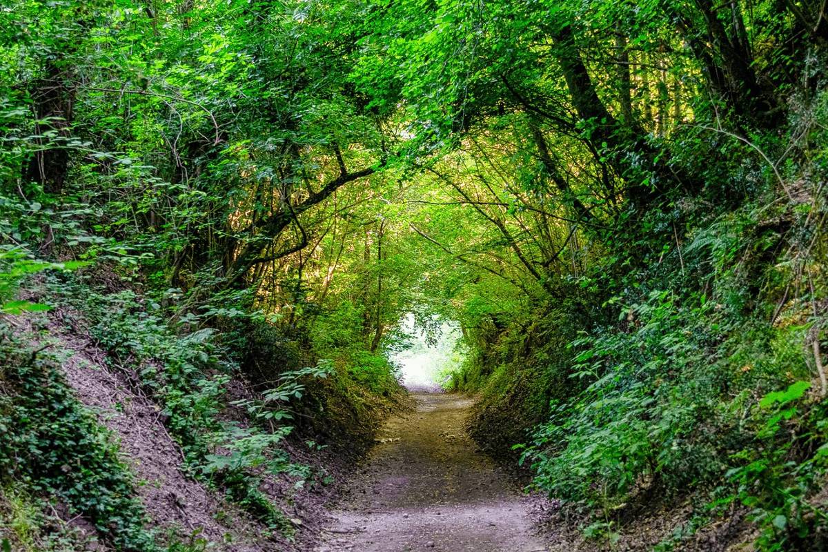 An hour from Rome is a UNESCO World Heritage village with an enchanted ...