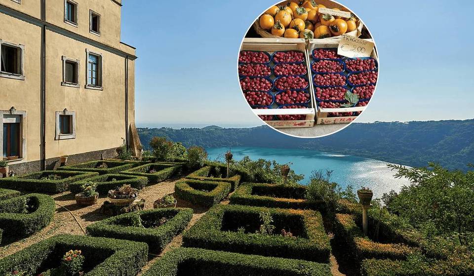 Das Dorf in Latium, das als „Perle der Castelli” bekannt ist, könnte zum Borgo dei Borghi 2026 gewählt werden: Es strebt den 1. Platz von 20 an (hier erfährst du, wie du abstimmen kannst und welche anderen Dörfer im Rennen sind).