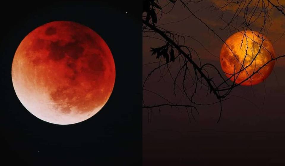 Dimentica l’eclissi di sangue, ma non staccare gli occhi dal cielo: questa notte Roma si prepara a brillare sotto la luce della “Luna Piena del Verme” (3 posti dove ammirarla)