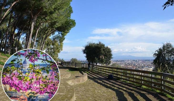 Dante lo chiamava “Monte Malo”, oggi è il punto panoramico più incredibile di Roma che non conosce quasi nessuno