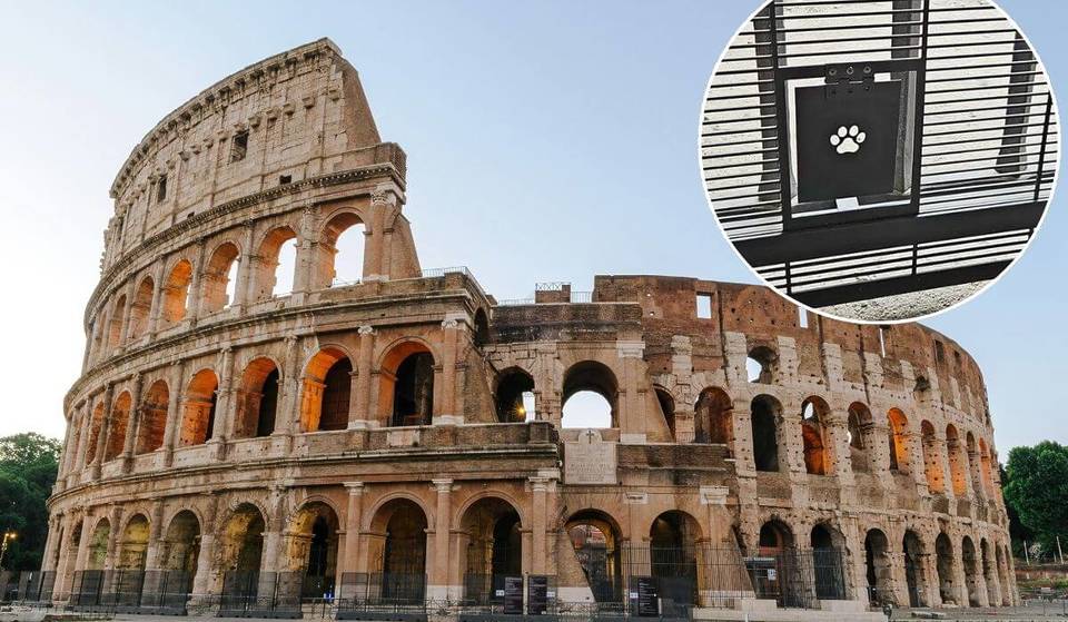 Porticine segrete con delle zampette: il dettaglio minuscolo sulle inferriate del Colosseo che nasconde il regno segreto del vero “Romeo di Roma”