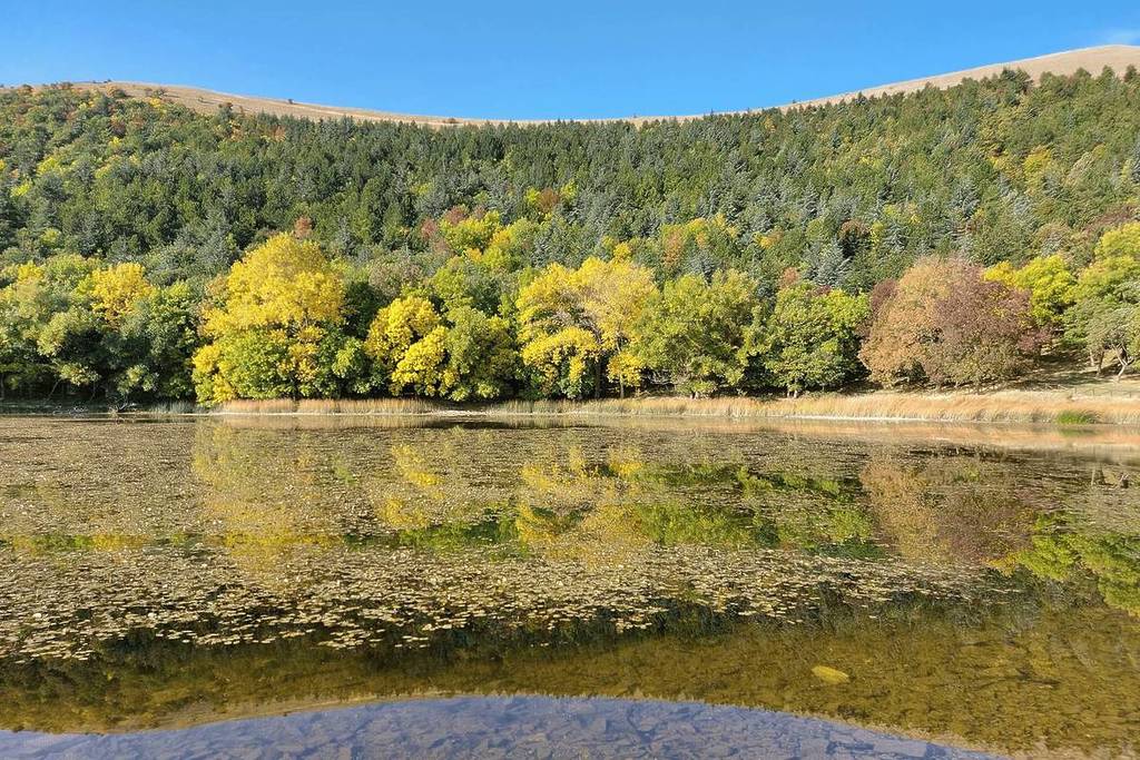 lago