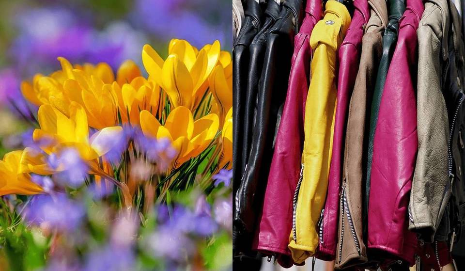 Primavera Romana: dois dias de festa entre História e Criatividade no fim de semana de 21 e 22 de março (entrada gratuita)