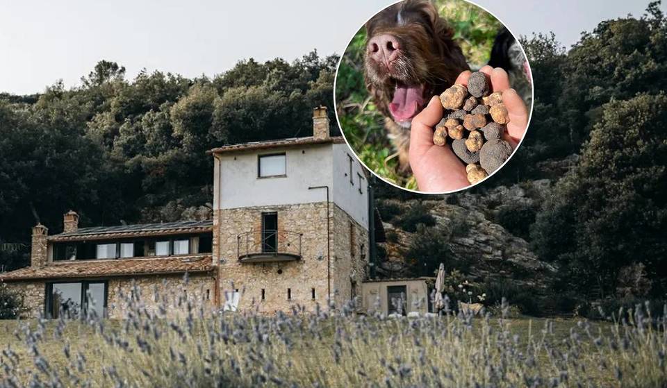 Se gostas de cães e de trufas, este é o lugar ideal para ti: a uma hora e meia de Roma