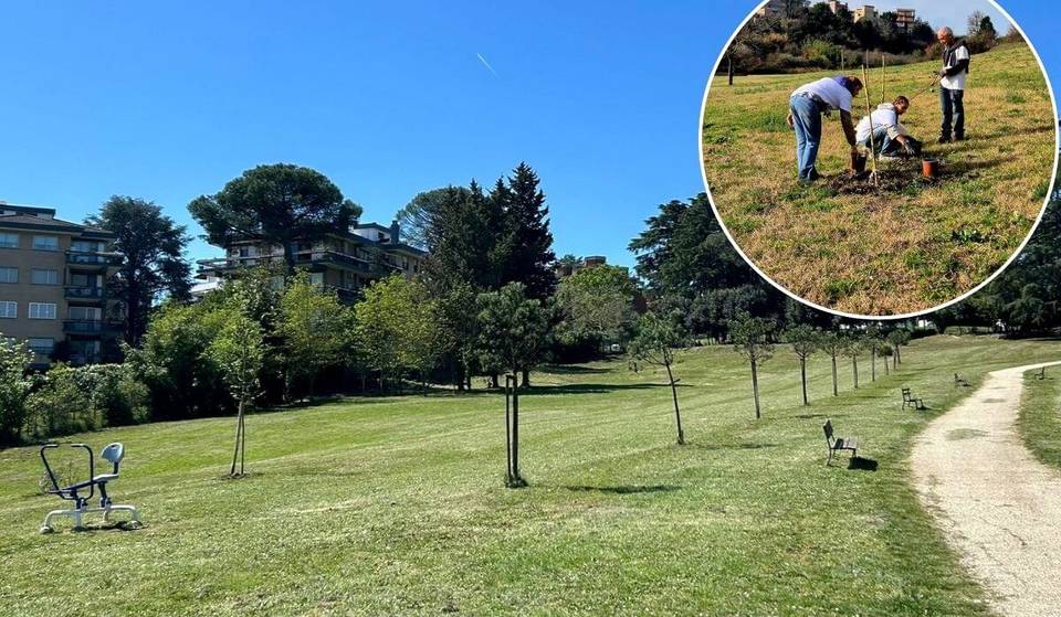 A Roma Nord apre il bosco urbano perfetto per le tue domeniche nella natura (42 ettari nel Parco di Veio)