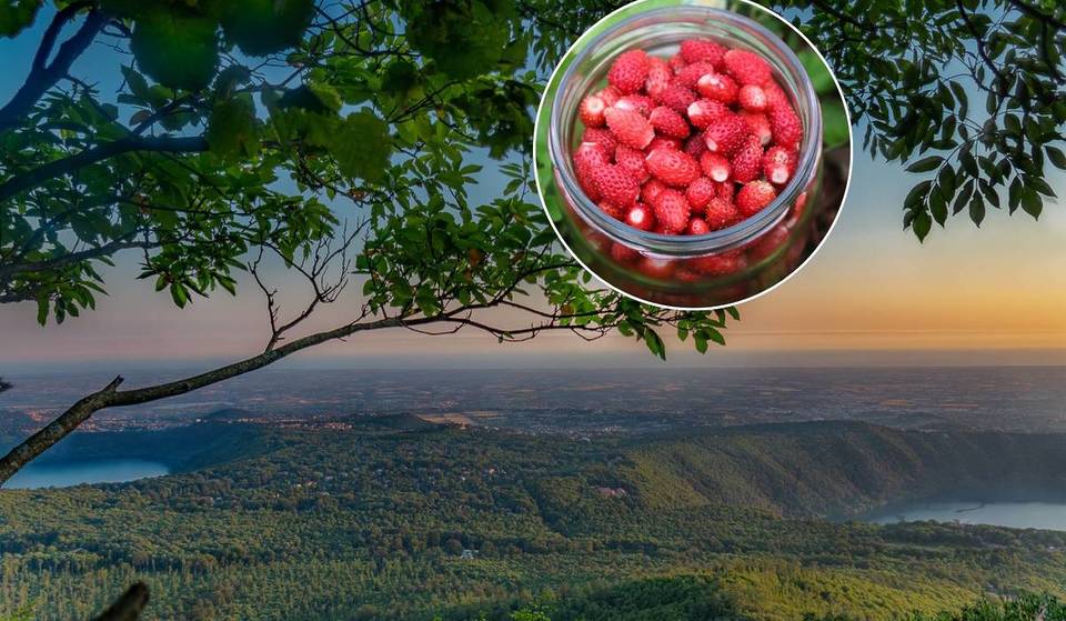 Latium im Frühling: 3 Wanderungen, die du im Mai zwischen Seen und Gipfeln in der Nähe von Rom nicht verpassen solltest