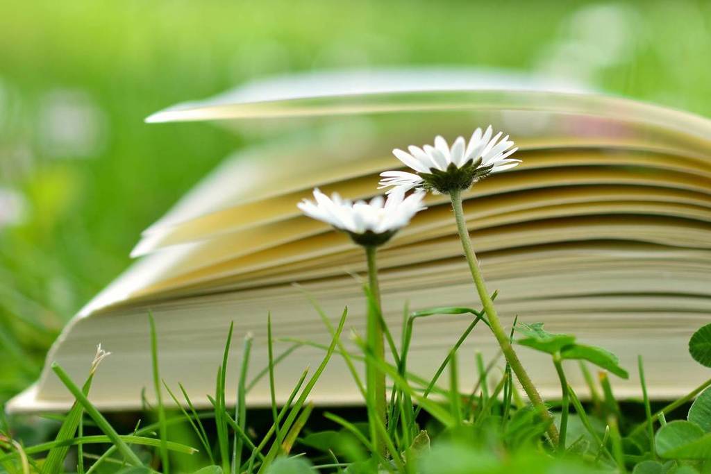 libro