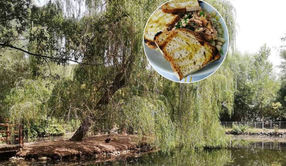 Non il solito pranzo: in quest’oasi nascosta a 90 minuti da Roma si mangia pesce a km 0 a 10 euro e ad apparecchiare la tavola ci pensi tu