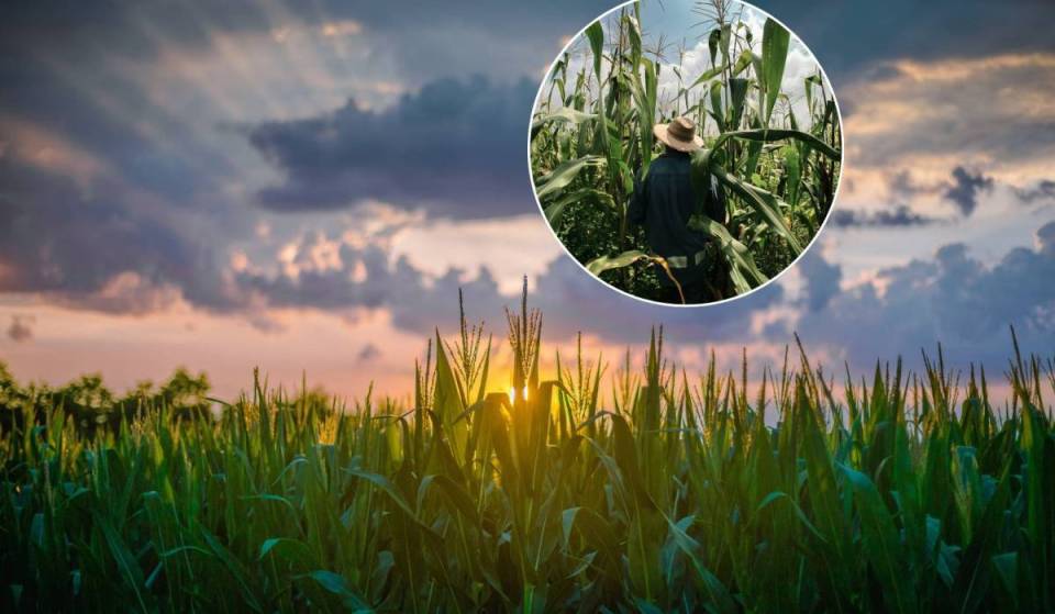 Just a short drive from Rome lies a large corn cob maze: by day, admission is 8 euros; by night, it transforms into the mysterious “Mais Labyrinth,” featuring actors and puzzles.