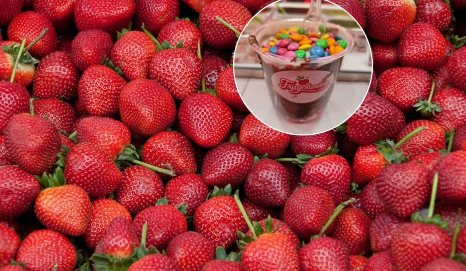 From the hugely popular “Dubai Chocolate” to the Strawberry Kiss: Rome welcomes its first concept dedicated to strawberries (starting at less than 5 euros per cup)