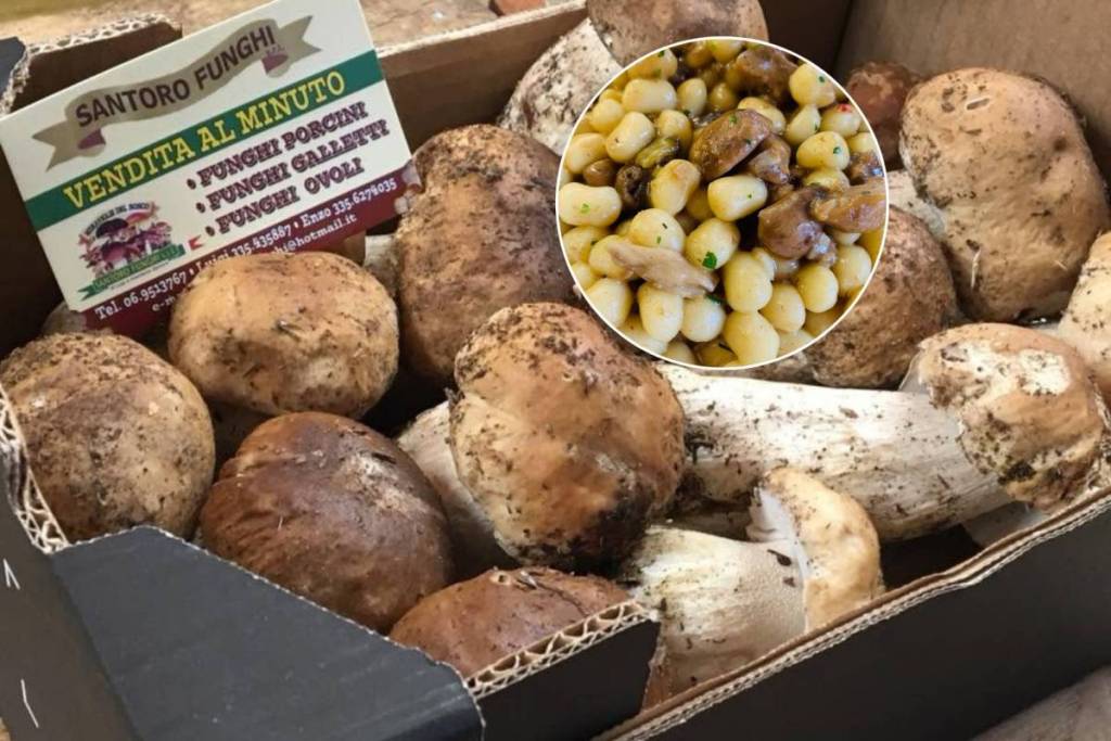 Castelli Porcini Festival