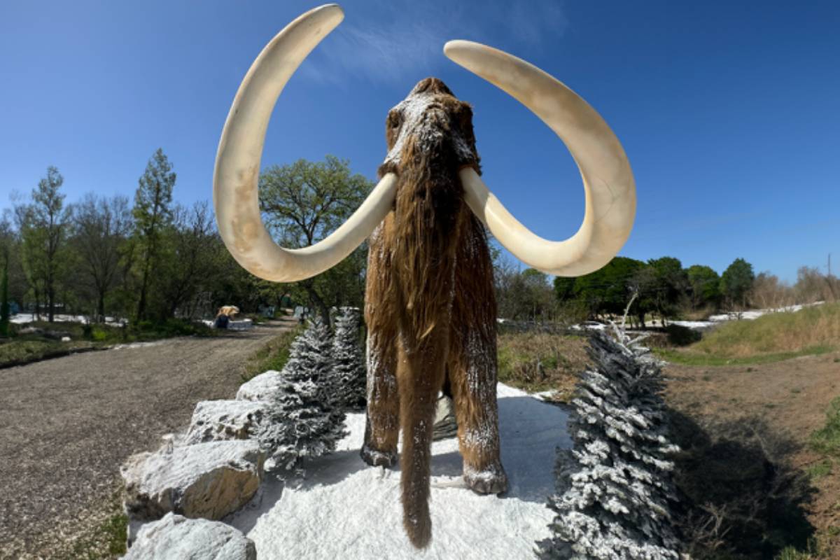 There Are 10 Larger-Than-Life Ice Age Creatures At San Antonio Zoo