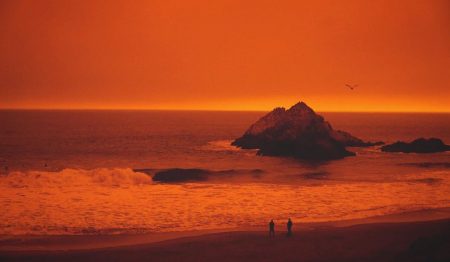 West Coast Fires Are Creating Their Own Microclimate In The Atmosphere, According To Experts