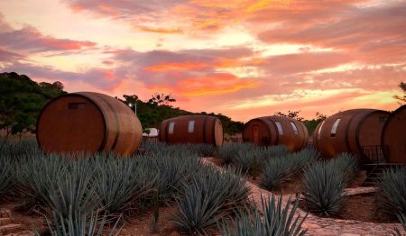This Hotel In Mexico Lets You Sleep In A Giant Barrel And Drink Tequila Straight From The Source