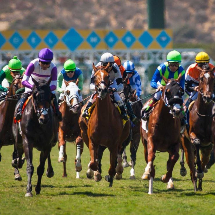 horse race at Del Mar San Diego