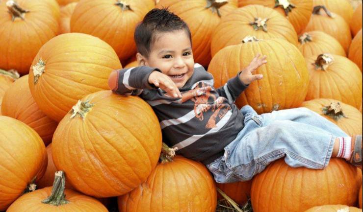 kid in a pumpkin patch