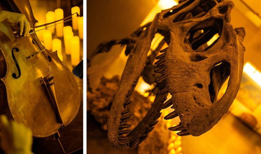 A violinist performing by candlelight (left). A dinosaur fossil illuminated by candlelight (right).