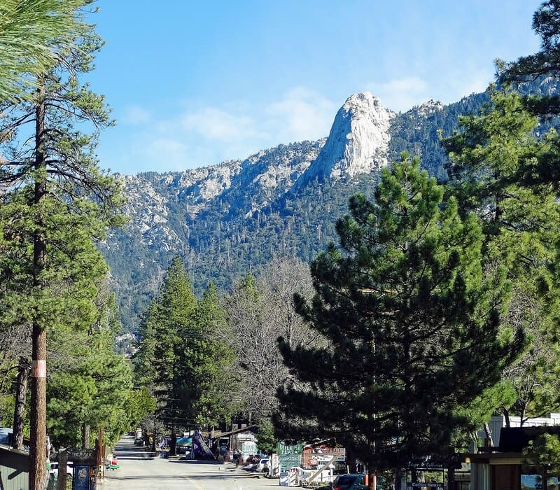 nature in Idyllwild, California