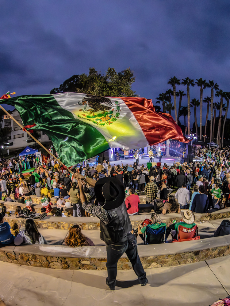 person waving Mexican flag at a festival