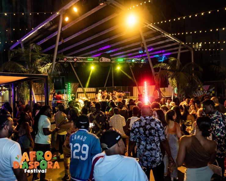 people at a festival celebrating the African community