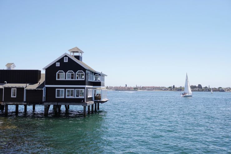 Shoebird in San Diego