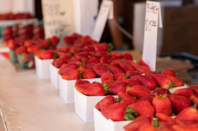 boxes of strawberries