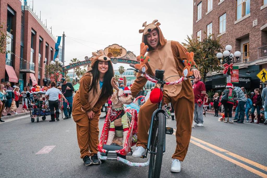 couple with a puppy at a Christmas parade