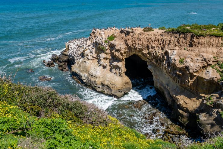 caves in La Jolla