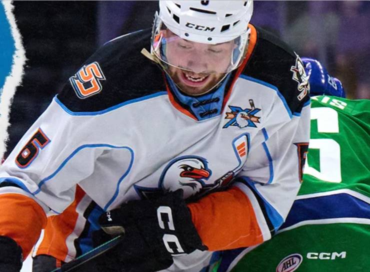 San Diego Gulls hockey team