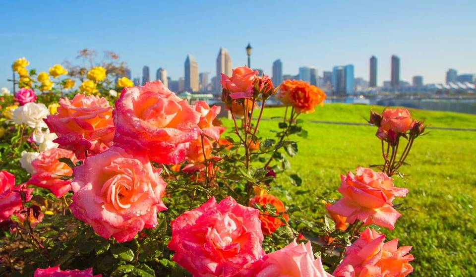 San Diego Ranks Among Top 10 Best Cities to Meet People In Real Life in 2026