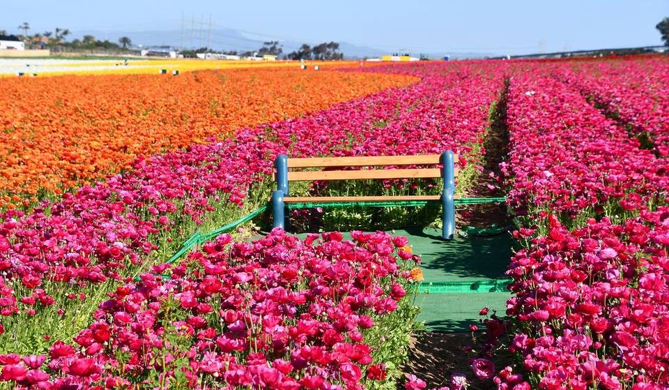 18 Wonderful Things To Do In San Diego This March 2026